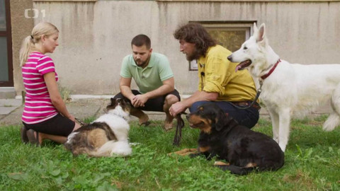 Kočka není pes - Návrat za minulými případy