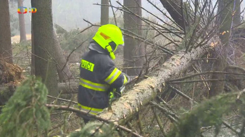 Zprávičky - 10. února 2020