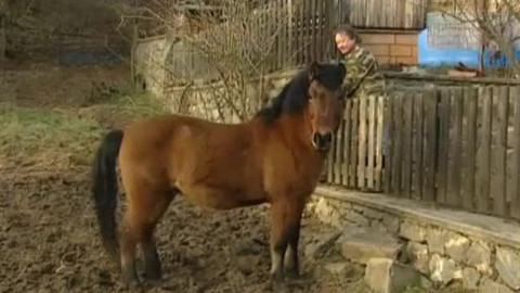 Náš venkov - V Závisti není co závidět