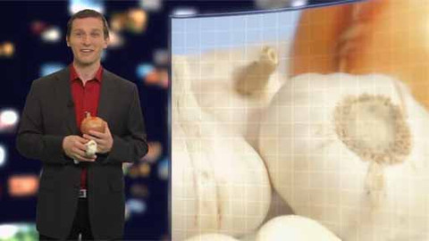 Tajemství zdravého života - 24/100 Cibule a česnek