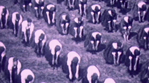 Archiv D - Stranou vyšlapaných cest