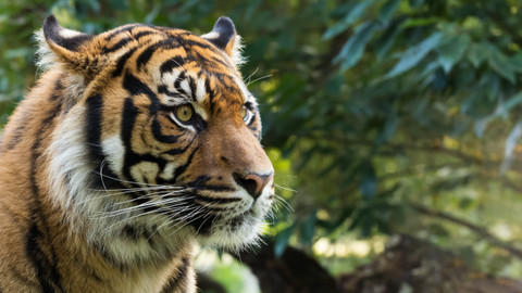 Cesty kolem světa - 3/12 Cesty kolem světa