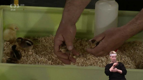 Život na třetí - 5. dubna 2020