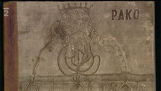 V zajetí železné opony