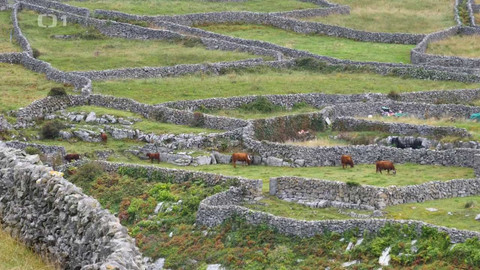 Objektiv - 30. ledna 2022