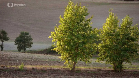 Kapka vody - Agrolesnictví