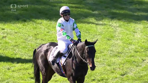 Velká pardubická - Velká cena města Pardubic