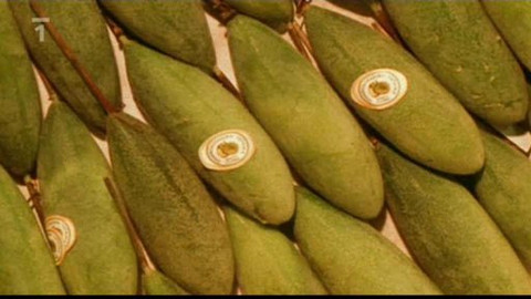 Kaleidoskop - 19. prosince 2010