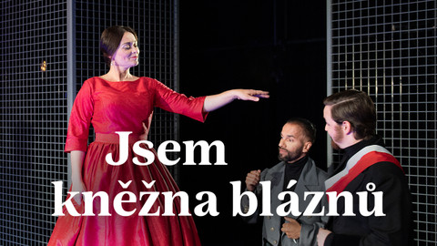 Jsem kněžna bláznů