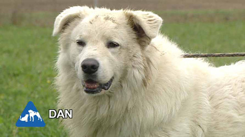 Chcete mě? - Chcete je?