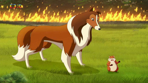 Lassie a přátelé - 6/26 Hoří les