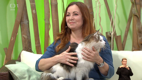 Sama doma - 29. března 2019