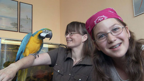 Zoománie - Epizoda 17/17