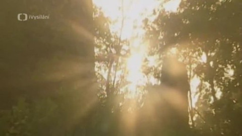 Toulavá kamera - 4. prosince 2005