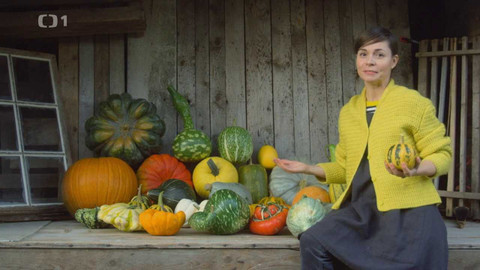 Herbář - 16. října 2022