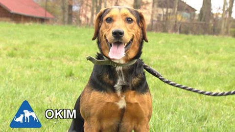 Chcete mě? - Chcete je?