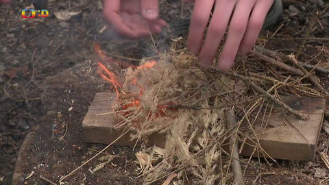 Zprávičky - 29. března