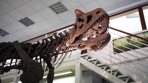 Lovci záhad - Velké vymírání