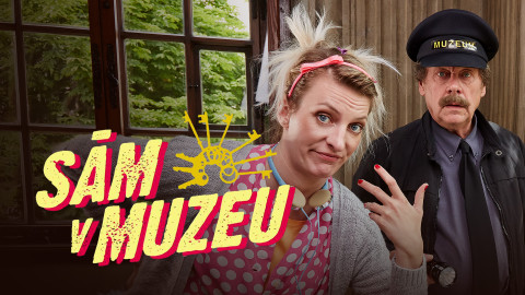 Sám v muzeu