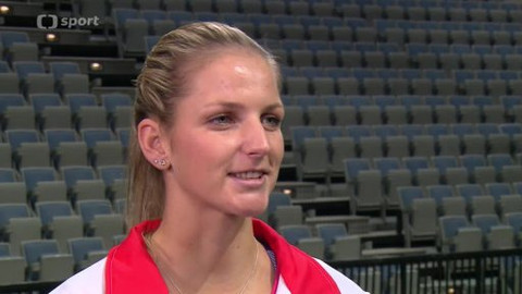 Fed Cup 2014 - Česko - Německo (finále)