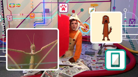 Telefon - 29. dubna 2016