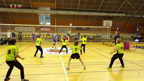 Zprávičky - 29. února 2020