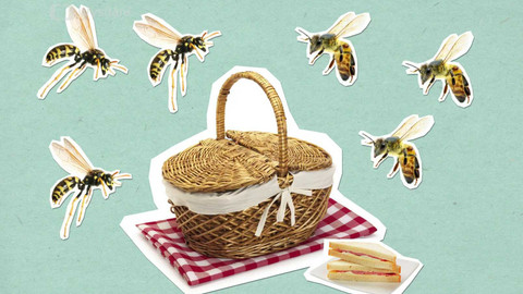 To je něco! - Jak vosy a včely bodají?