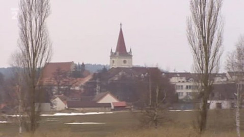 Nedej se! - Kácení stromů