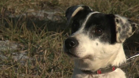 Chcete mě? - Chcete je?