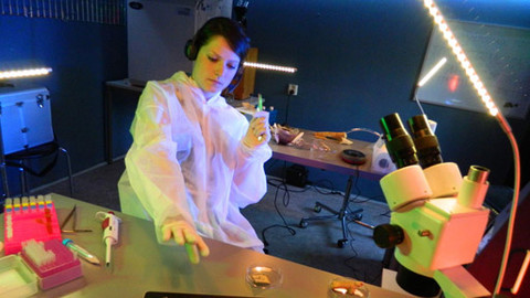 Záhady Toma Wizarda - Záhadný trojhrob