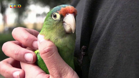 Zprávičky - 18. ledna 2023