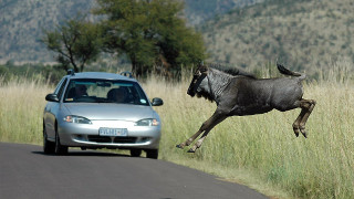 Na cestě po jihoafrické Mpumalanze