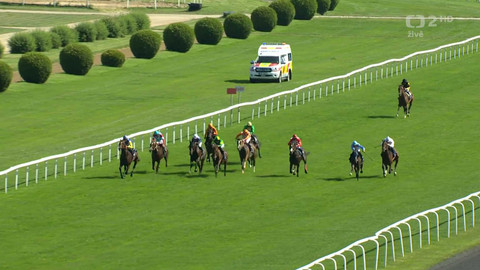 Dostihy - 105. Westminster České Derby