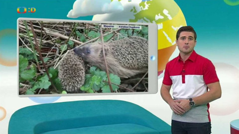 Zprávičky - 27. září 2017