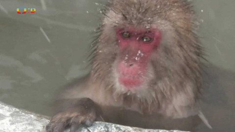 Zprávičky - 8. prosince 2022