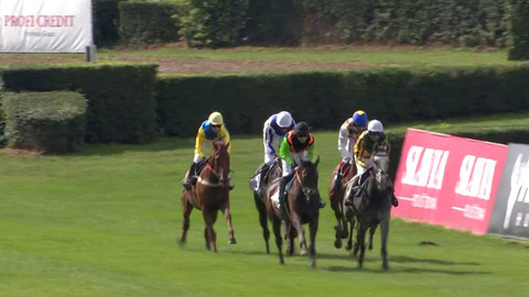 Velká pardubická - IV. kvalifikace na 135. Velkou pardubickou se Slavia pojišťovnou