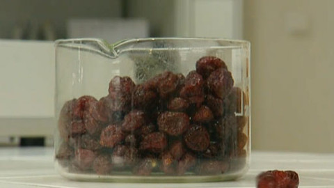 Tep 24 - 2. července 2011