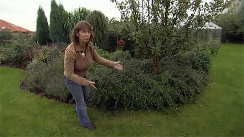 Zahrada pod lupou - 12. října 2011