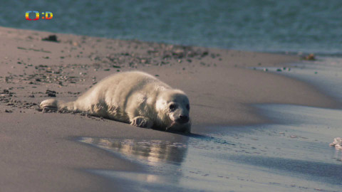 V divočině, tam to žije - Epizoda 12/40