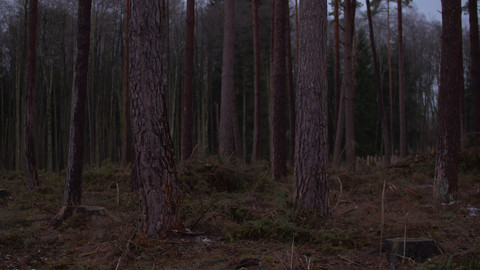 Nedej se! - Environmentální žal