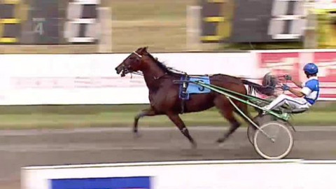 Jezdectví - Kvalifikace na klusácké derby Praha