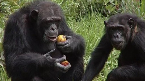 Objektiv - 10. června 2007