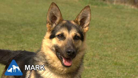 Chcete mě? - Chcete je?