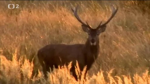 Tisíc let české myslivosti - 26. října 2013