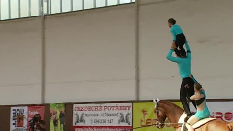 Jezdectví - M ČR ve voltiži 2014 Albertovec