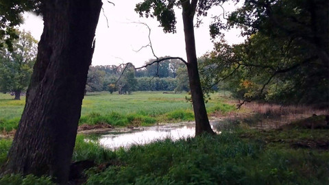 Nedej se! - Boj o Moravskou Amazonii