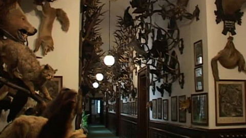 Tisíc let české myslivosti - 20. května 2011