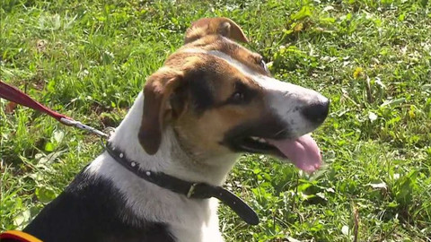 Chcete mě? - Chcete je?