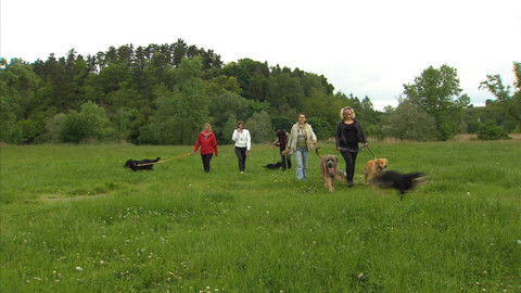 Chcete mě? - 14. června 2015