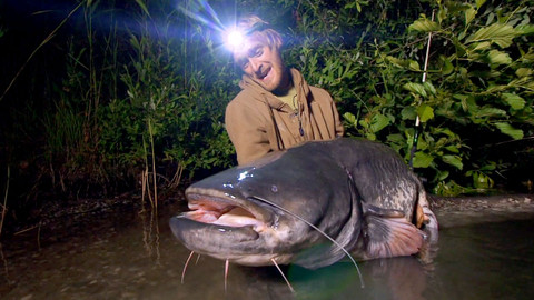 České rybí legendy - 3/3 Sumec